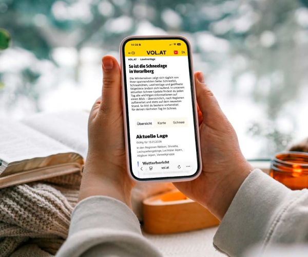 ÖWA Zahlen Lawinenlage