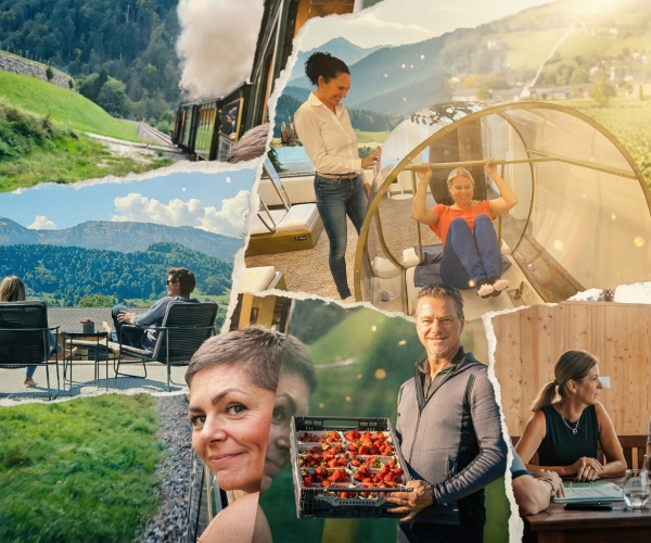 Story des Jahres VOL.AT