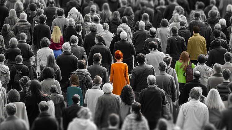 Website Bilder 2026 02 20 750x422 2